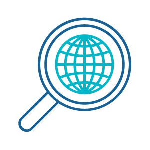 Global investigations icon